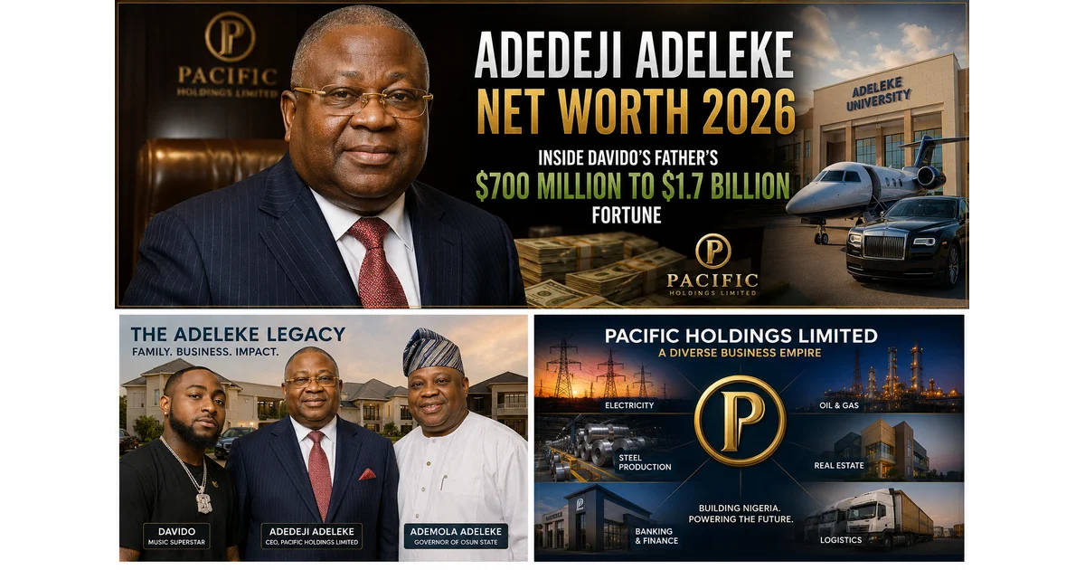 Adedeji Adeleke Net Worth 2026
